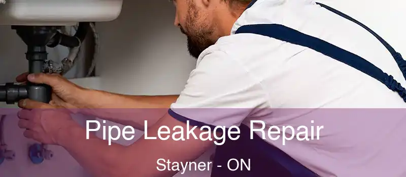  Pipe Leakage Repair Stayner - ON