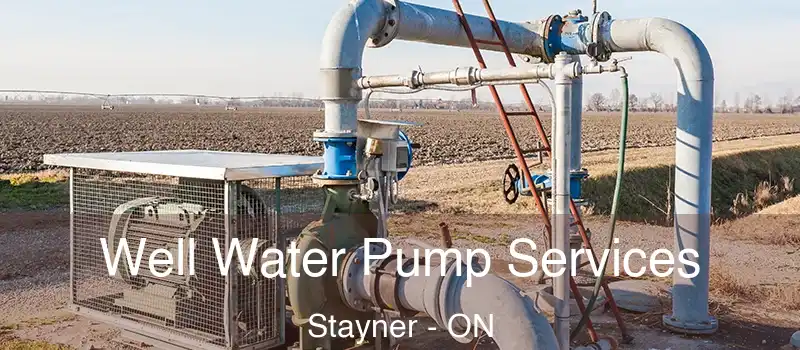  Well Water Pump Services Stayner - ON